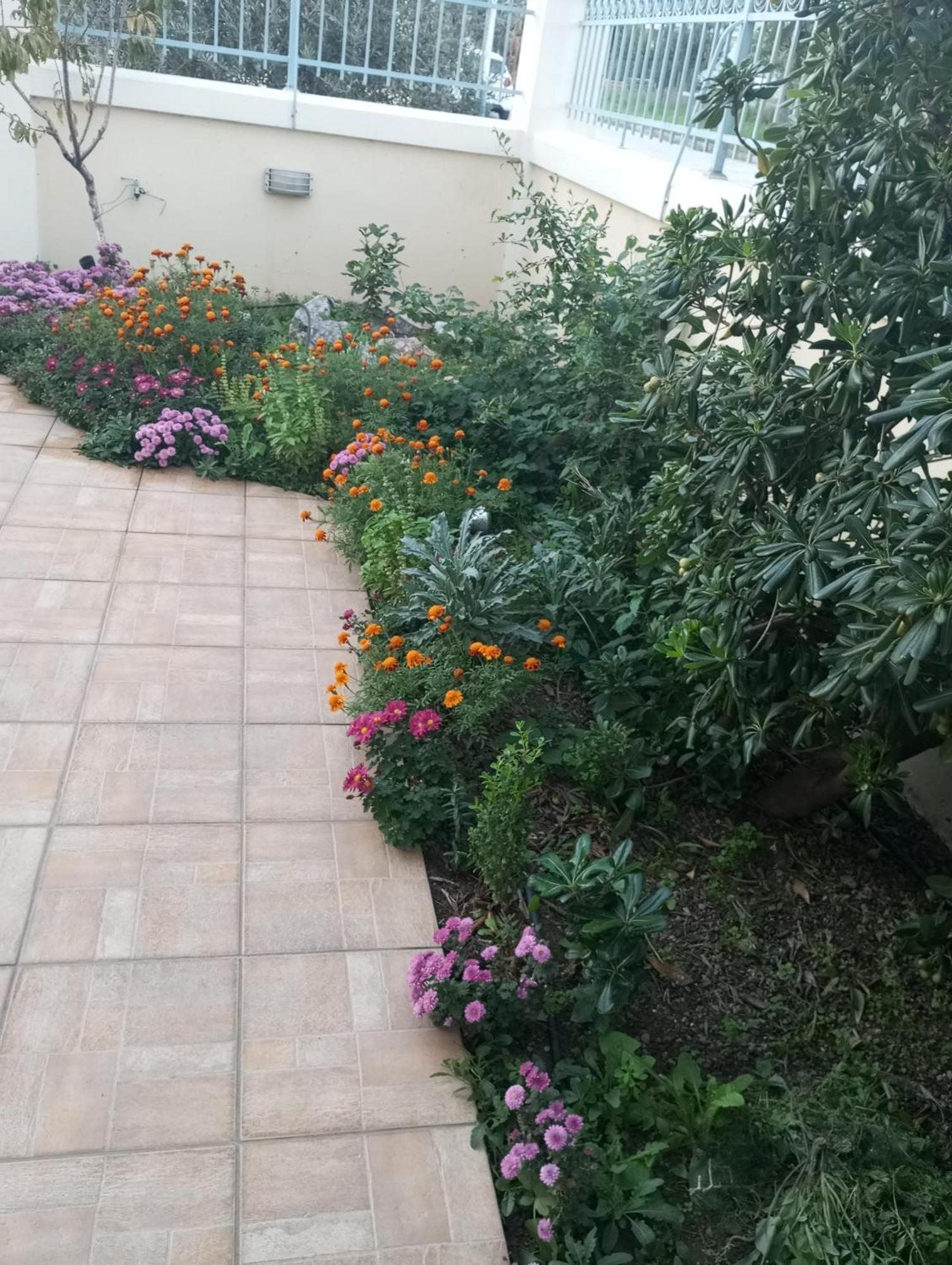 Dora'S Home With Garden Vólosz Kültér fotó